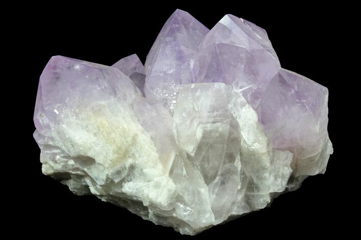 Wide Amethyst Crystal Cluster - Large Points #78153